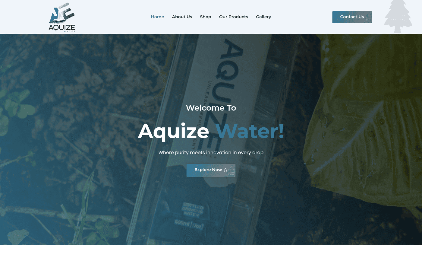 Screenshot of the Aquize Water website