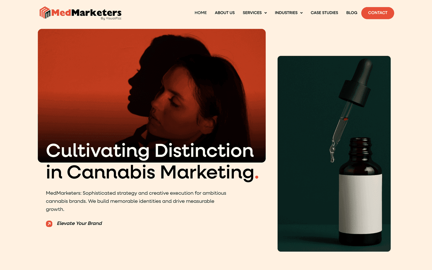 Screenshot of the MedMarketers website